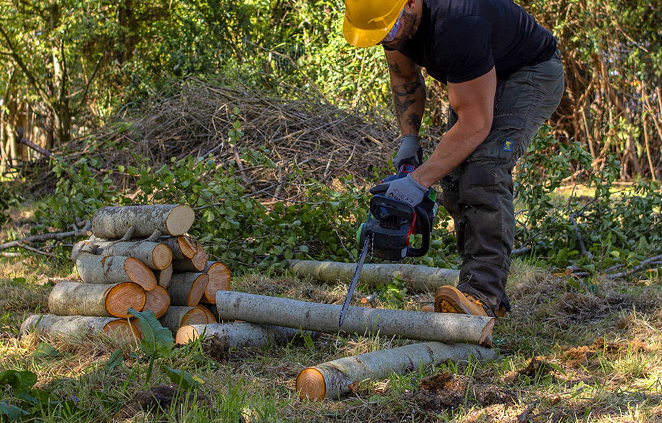 Solusyon sa kagubatan